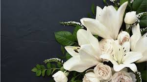 Olivia “Liv” Maria Orencia Death, Obituary – Chicago Social Worker Dies at 29 After Battle With Aggressive Brain Tumor